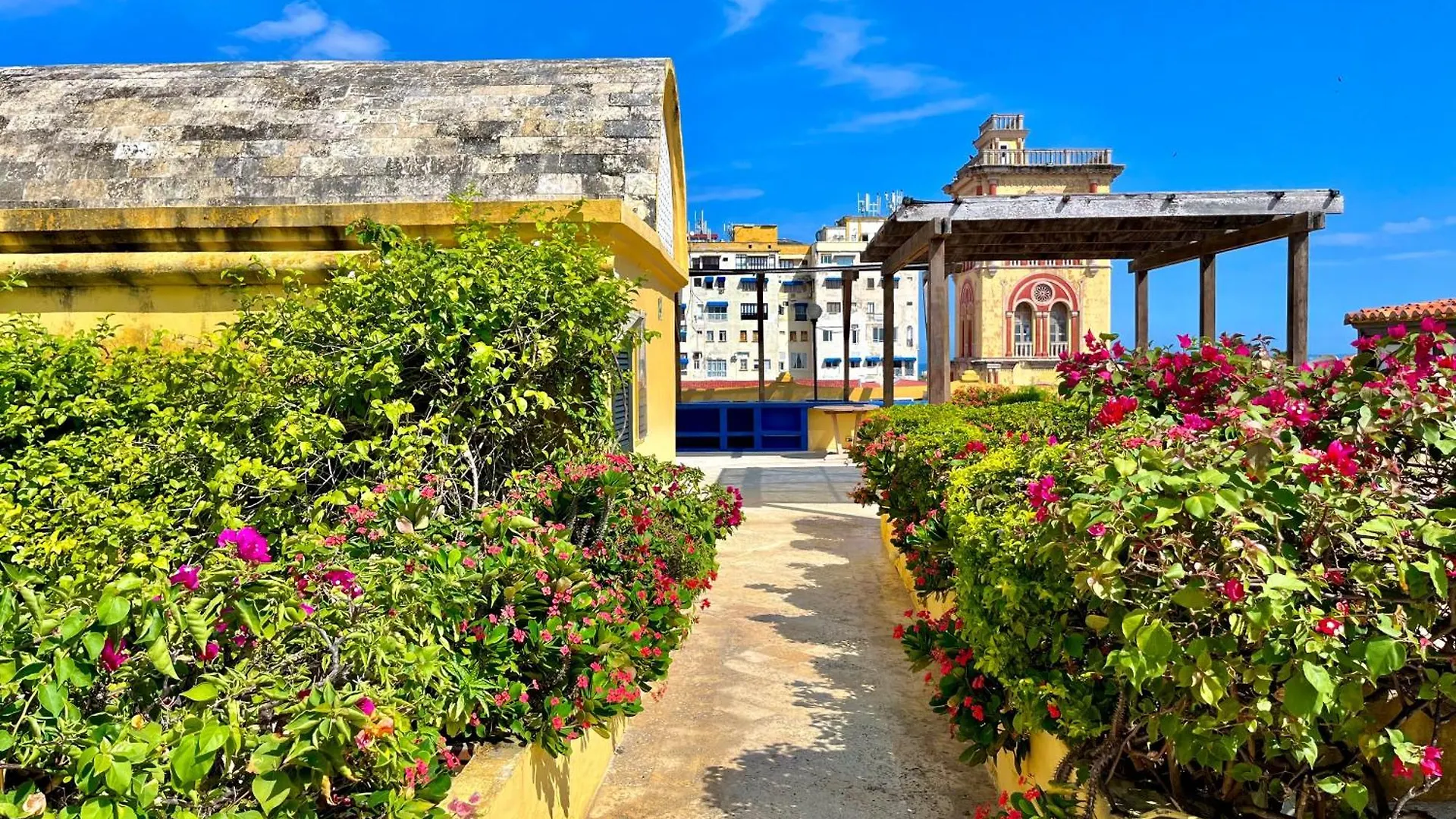 By Calamari Homes - El Porvenir 401 Walled City Cartagena